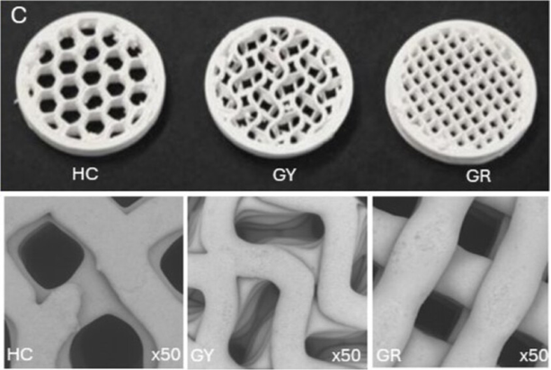 (C) Macro images of 3D-printed β-TCP scaffolds sourced from Ossiform in honeycomb (HC), gyroid (GY), and grid (GR) configurations, respectively. (D) SEM micrographs showing characteristic fiber/pore architectures across scaffold types under 50× magnification.
